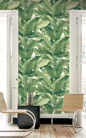 Decorating with Modern  Banana Palm Leaf Wallpapers