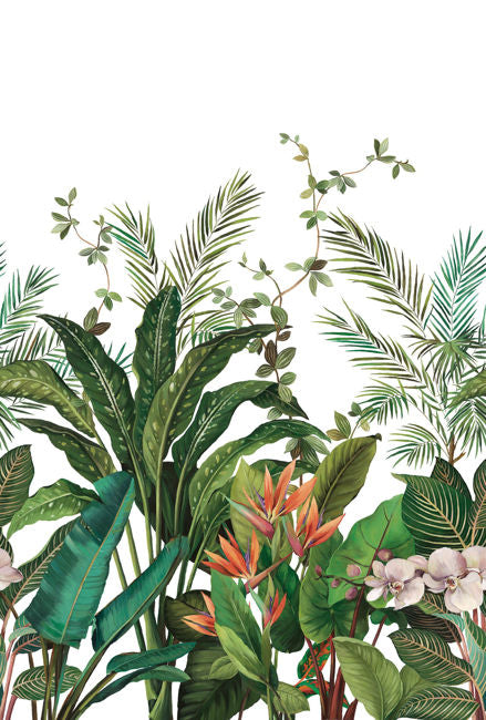 Bird Of Paradise Mural | White – Daisy Bennett Designs