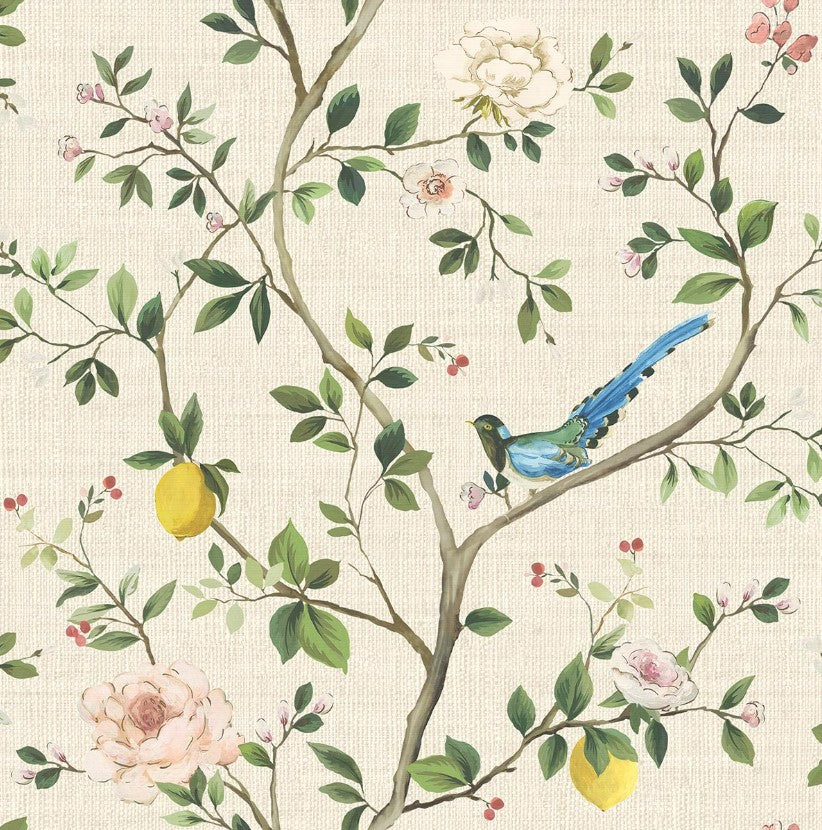 Blossom Citrus Floral | Cream