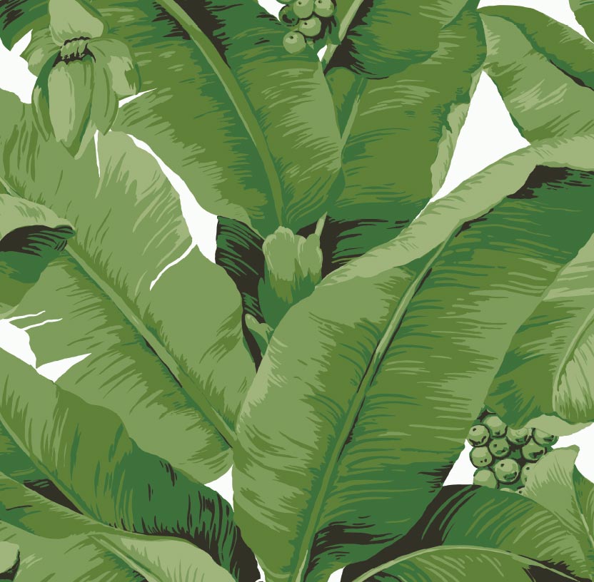 Design Ideas for Decorating with Banana Leaf Wallpaper