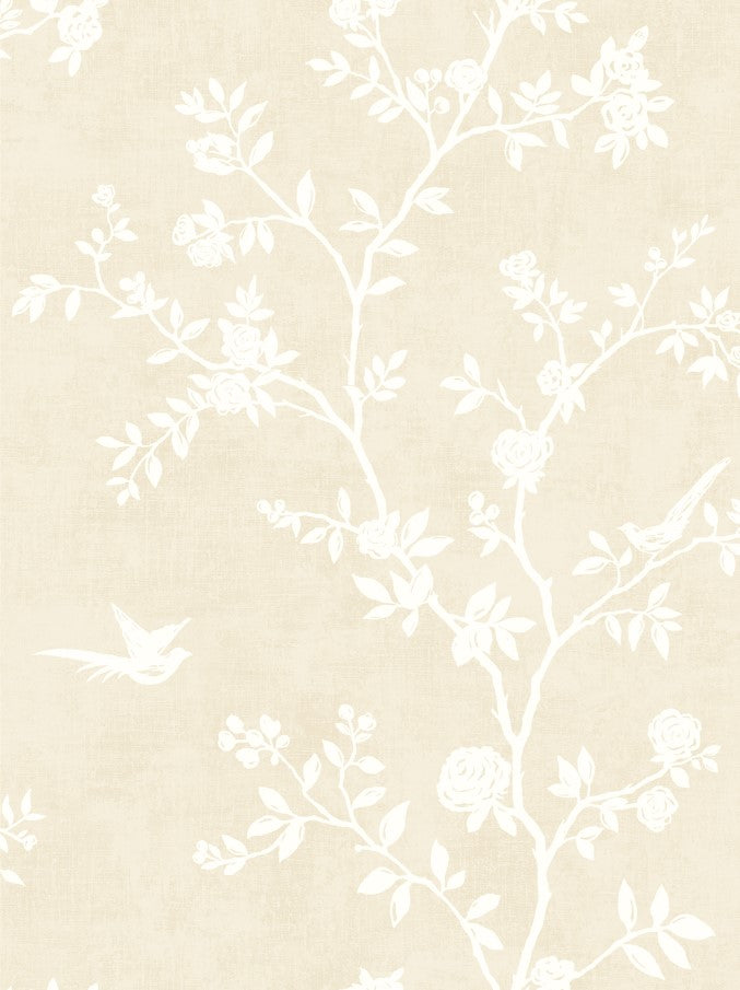 Silhouette | Putty Oyster