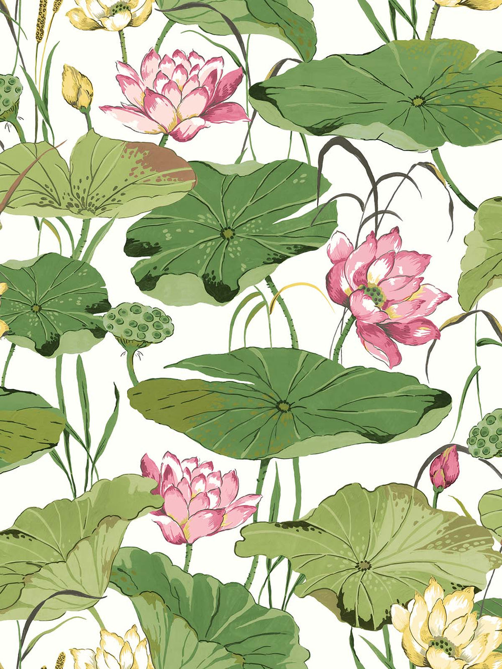 Lotus Flower - Pink and Green
