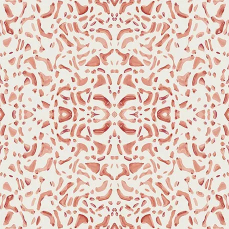Jasmine | Coral