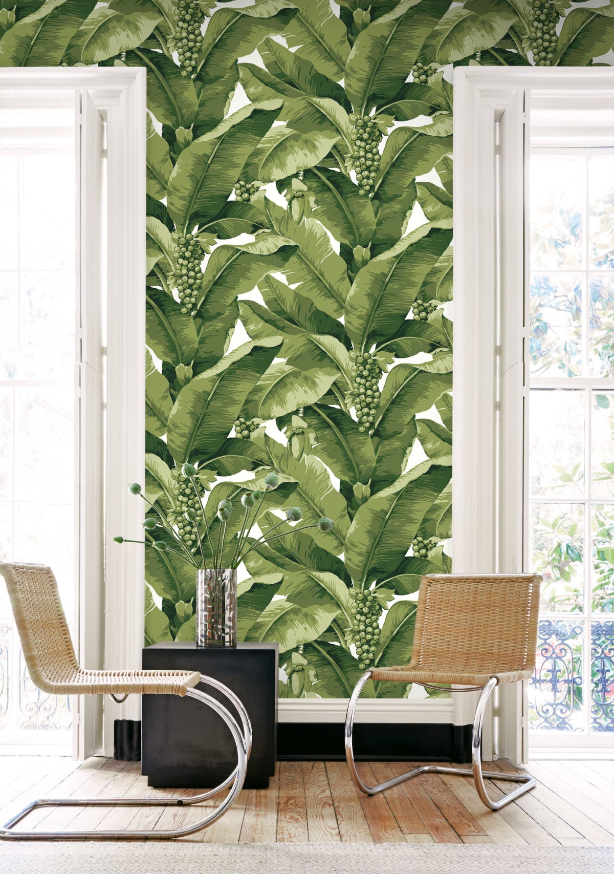 Paradisio Palm | White And Green