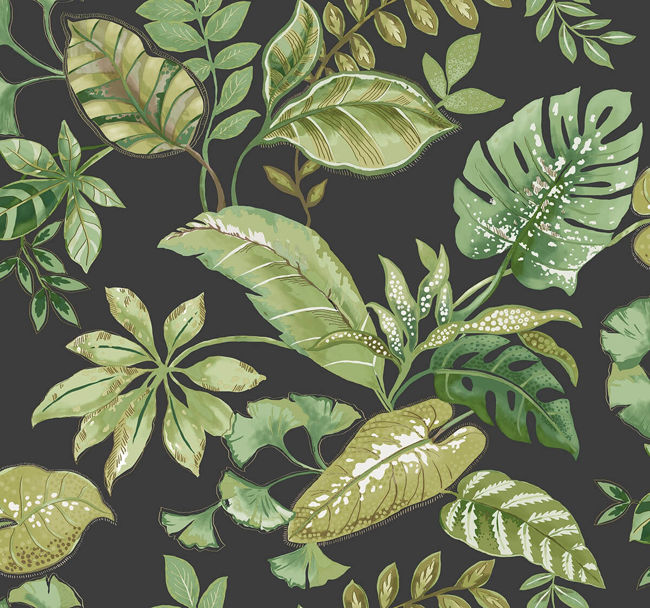 Tropical Leaf | Black