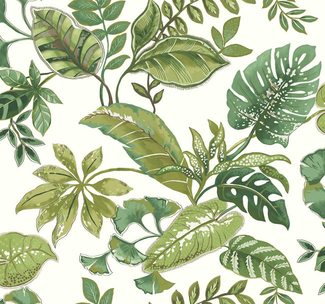 Tropical Leaf | Tropical Greens On White